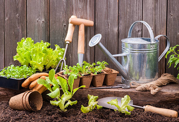 Garden And Outdoor